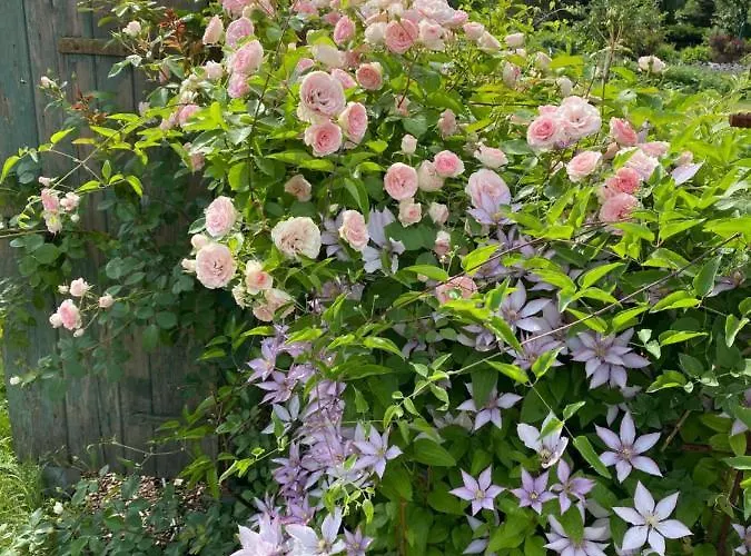 B Zauberhafte ヴィラ *